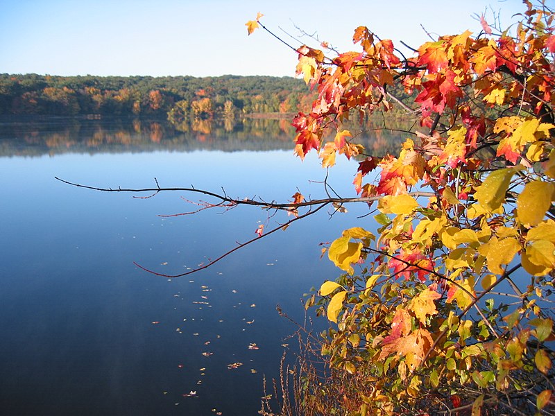 800px-cutler pond 117 1710