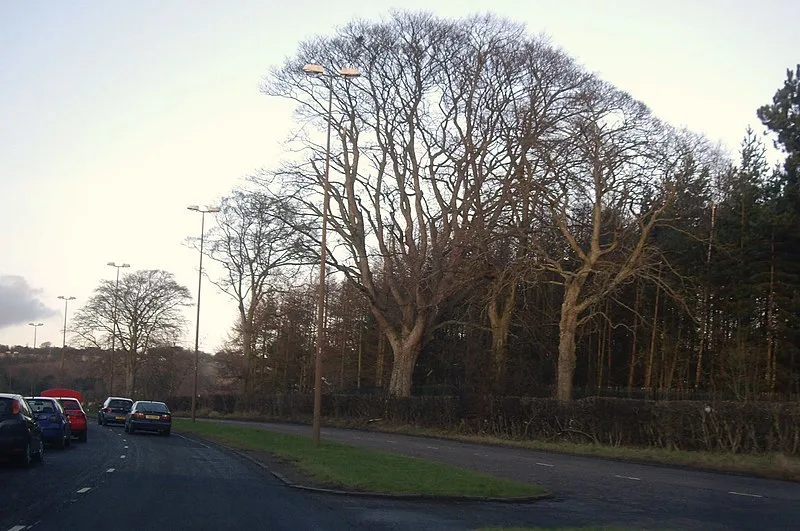 800px-dual carriageway along west side of caird park - geograph.org.uk - 2758377