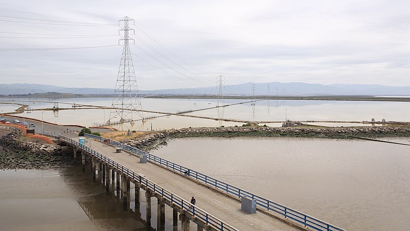 800px-dumbarton bridge fremont april 2011