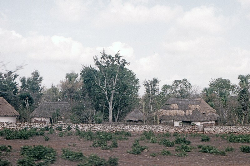 800px-dzibilchalt%c3%ban town 2 - april 1973 - thatched houses - yucatan mexico