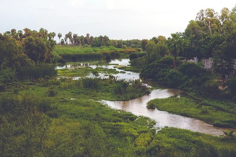 800px-estero san jos%c3%a9 - panoramio