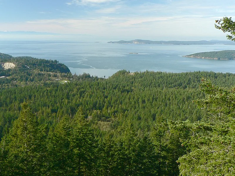 800px-fidalgo island 28245