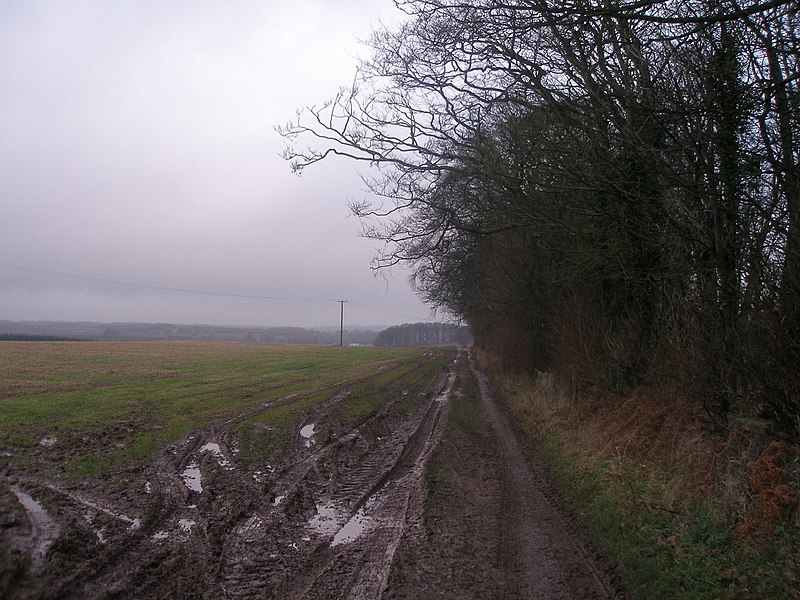 800px-footpath from stockeld park towards spofforth - geograph.org.uk - 3282870