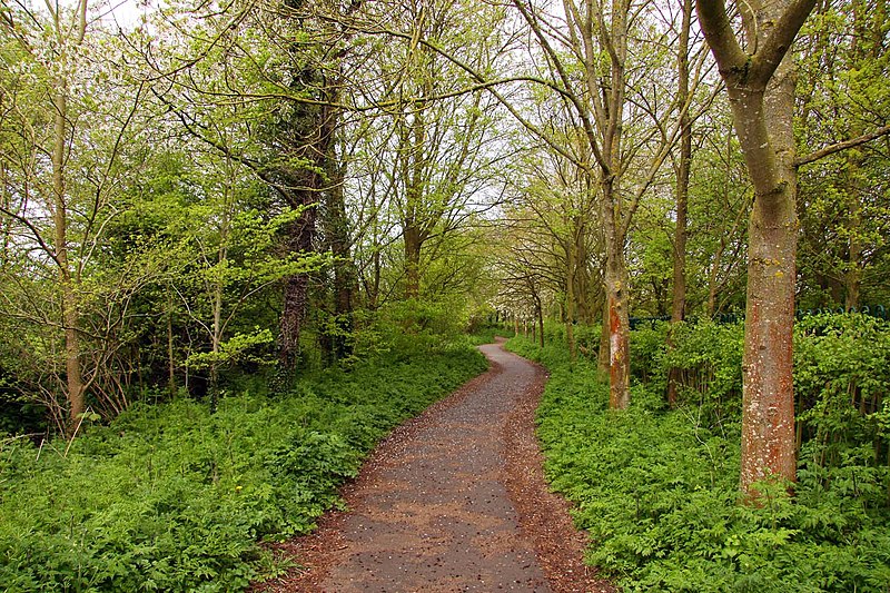 800px-footpath to cogges manor farm museum - geograph.org.uk - 1830115