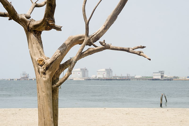 800px-fort kochi beach%2c india%2c 2 march 2019