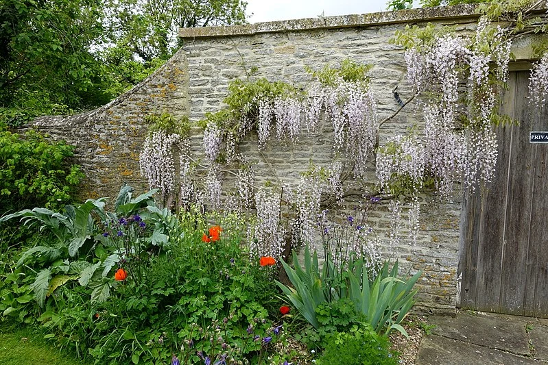 800px-garden - kelmscott manor - oxfordshire%2c england - dsc00163