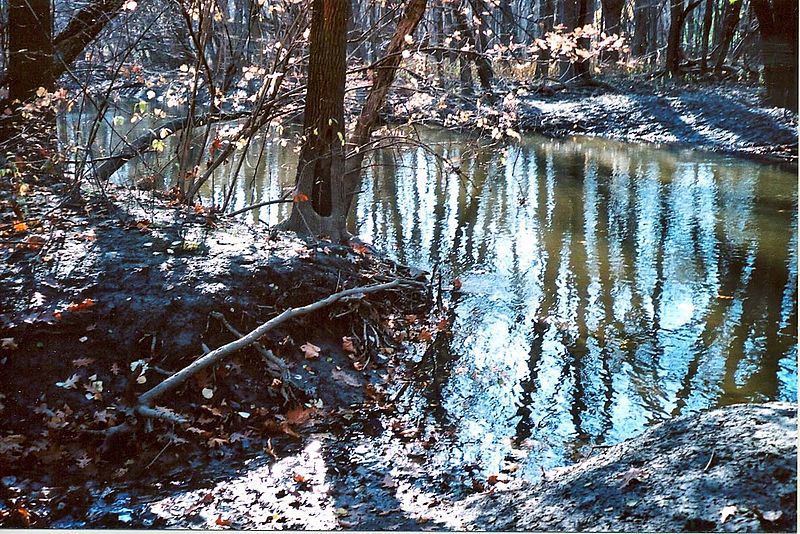 800px-glenview creek mouth at n. branch of chicago river