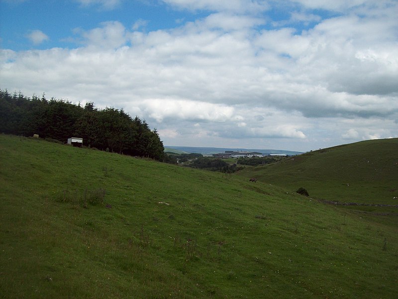800px-grazing land and woodland near buxton raceway - geograph.org.uk - 3036288