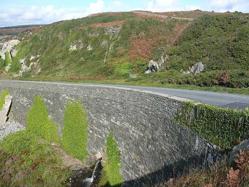 800px-grey mare%27s tail - geograph.org.uk - 2092497