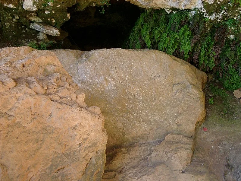 800px-grotta del romito