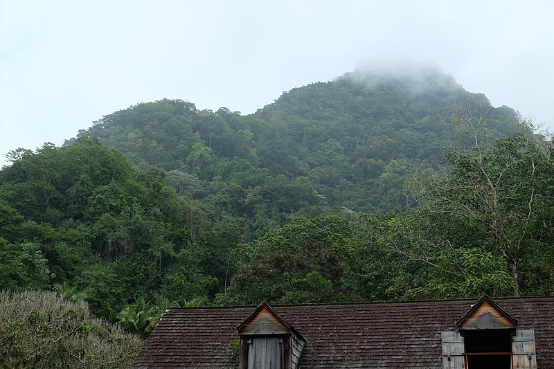 800px-habitation la griveli%c3%a8re%2c parc national de guadeloupe