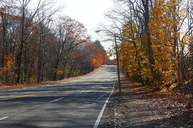 800px-hammond pond parkway p1030954