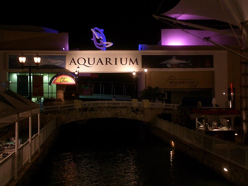 800px-interactive aquarium canc%c3%ban - panoramio