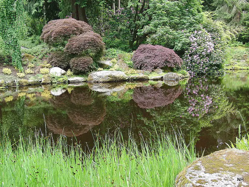 800px-japanese garden pond area - panoramio