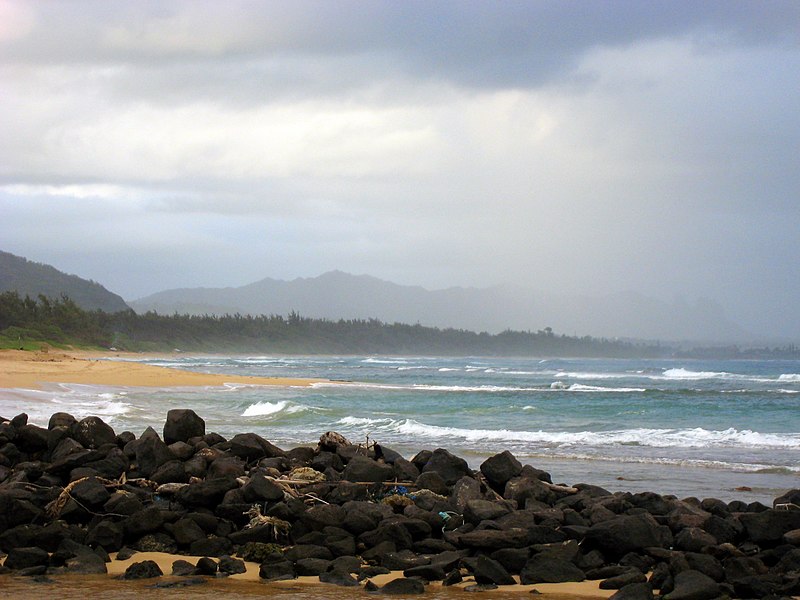 800px-kauai beach 1 %283257472338%29