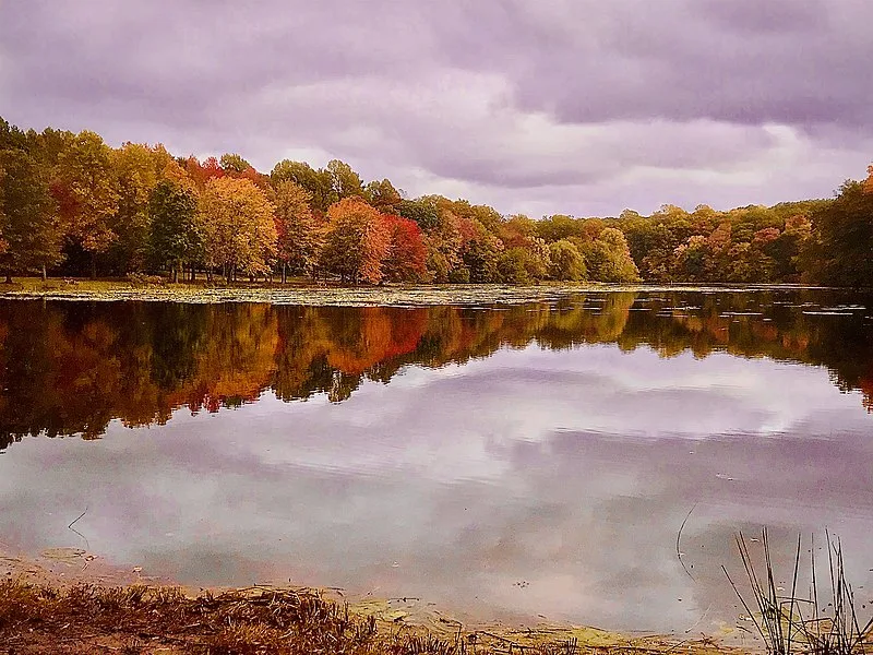 800px-lake topanemus during autumn