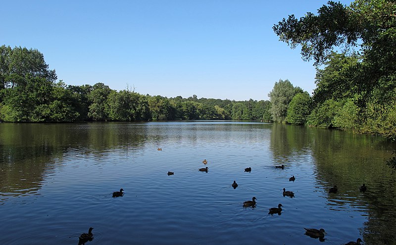 800px-lake in weald country park - geograph.org.uk - 3055047