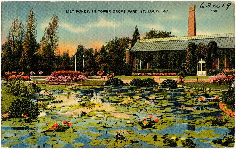 800px-lily ponds. in tower grove park. st. louis%2c mo %2863219%29