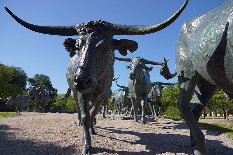 800px-longhorn cattle pioneer plaza dallas