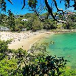800px Looking over Shelly Beach and Cabbage Tree Bay in Sydney
