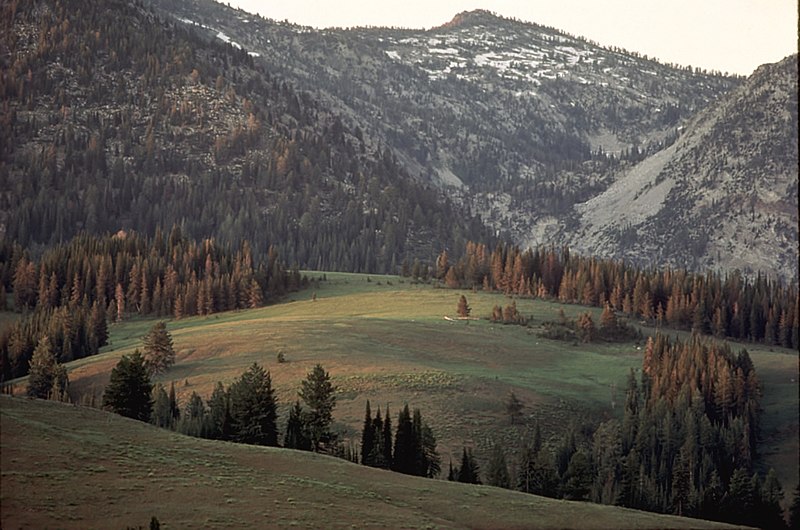 800px-meadow in the eagle cap wilderness%2c wallowa whitman national forest %2823851549311%29