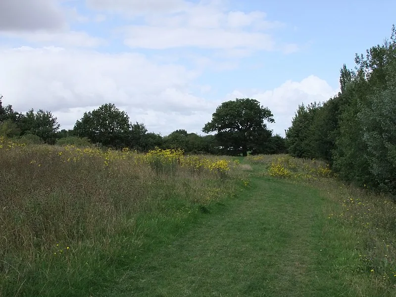 800px-meadow within great notley country park - geograph.org.uk - 2041799