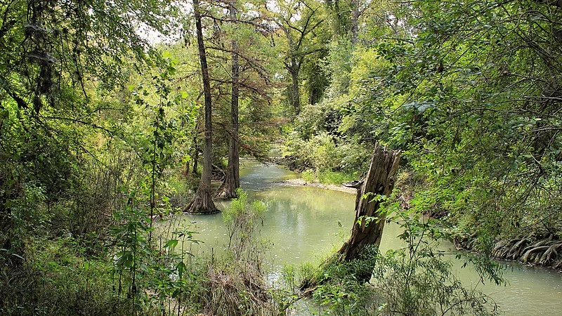 800px-medina river natural area