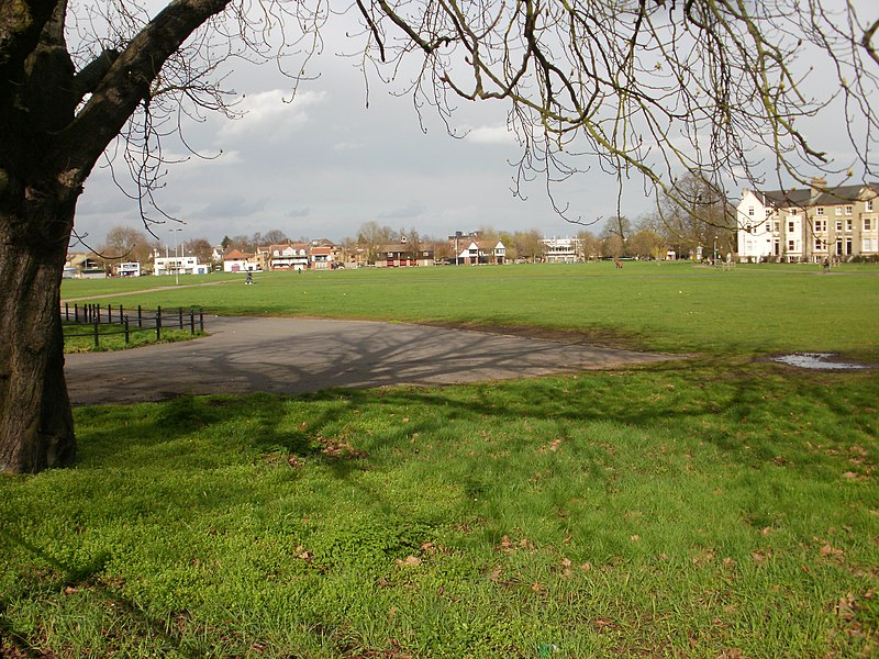 800px-midsummer common - geograph.org.uk - 1810962