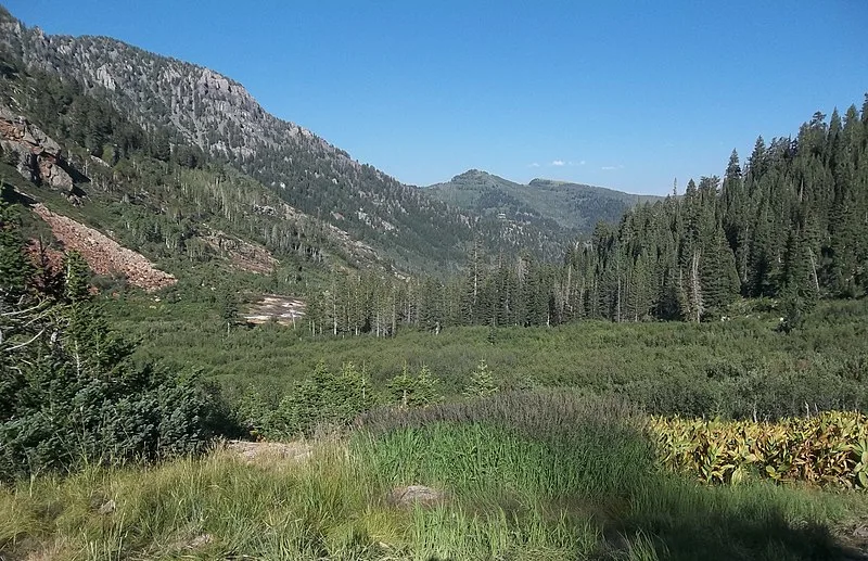 800px-mineral basin - panoramio