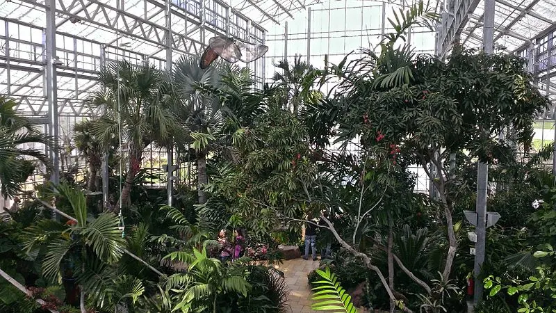 800px-nicholas conservatory interior