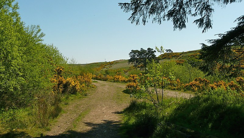 800px-northballo hill track - geograph.org.uk - 2963855