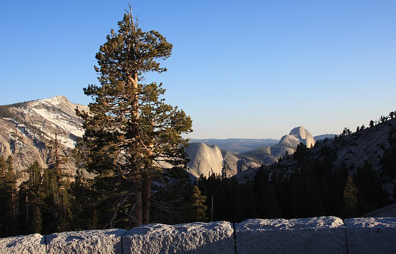 800px-olmsted point yosemite view