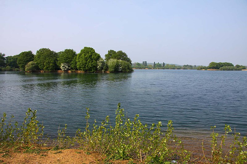 800px-one of the caversham lakes - geograph.org.uk - 2377617