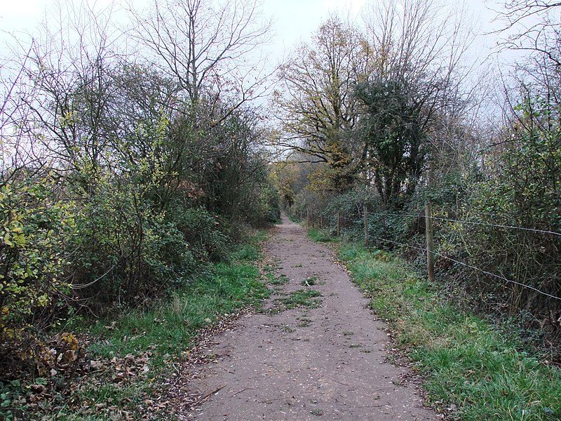 800px-path in paxton pits nature reserve - geograph.org.uk - 2726845