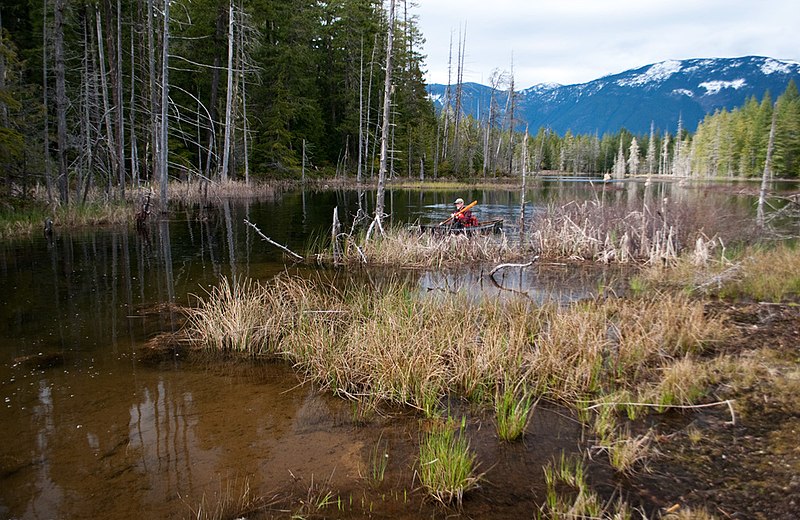 800px-patterson lake vancouver island