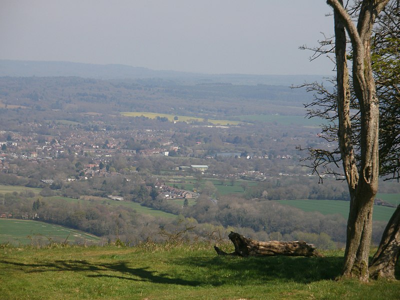 800px-petersfield seen to the north east of butser hill - geograph.org.uk - 2921395