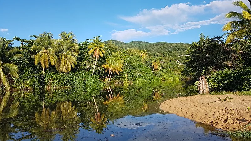 800px-plage de grande-anse%2c la mangrove