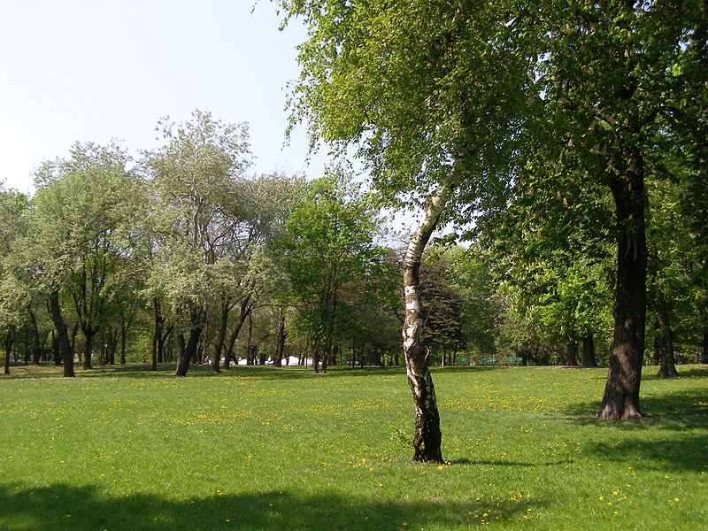 800px-poznan park marcinkowskiego