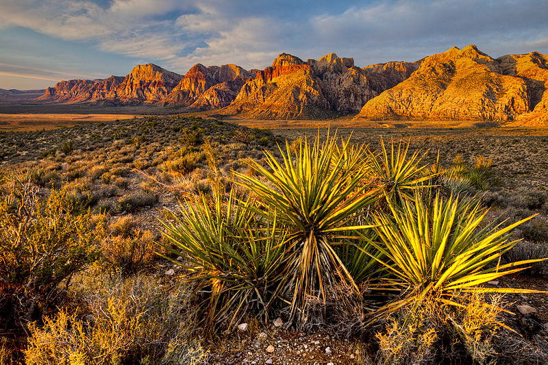 800px-red rock canyon nca %2819036331363%29