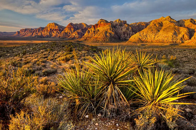 800px-red rock canyon nca %2819036331363%29