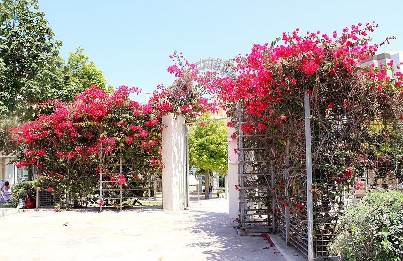 800px-saint julians malta - panoramio %281%29