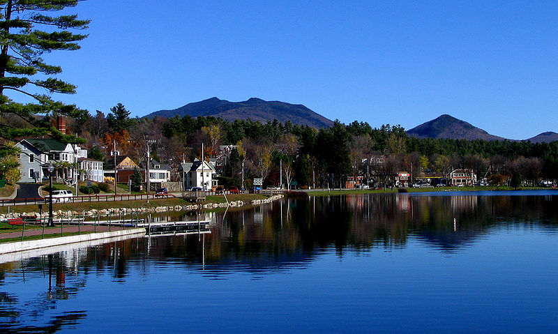 800px-saranac lake - lake flower