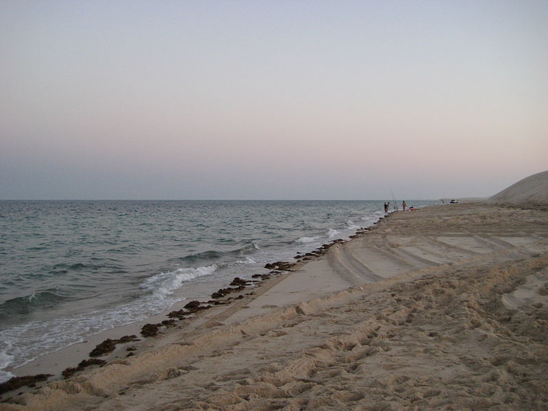 800px-sealine beach near mesaieed%2c qatar %282014%29