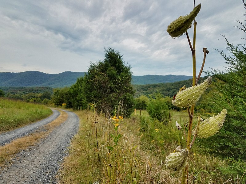 800px-shenandoah river state park %2830082651086%29