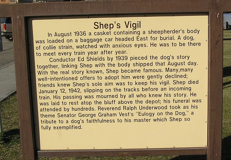 800px-shep sign