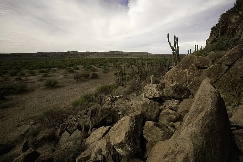 800px Sierra de la Giganta2C La Paz2C Baja California Sur 282165522293029 800px-sierra de la giganta%2c la paz%2c baja california sur %2821655222930%29