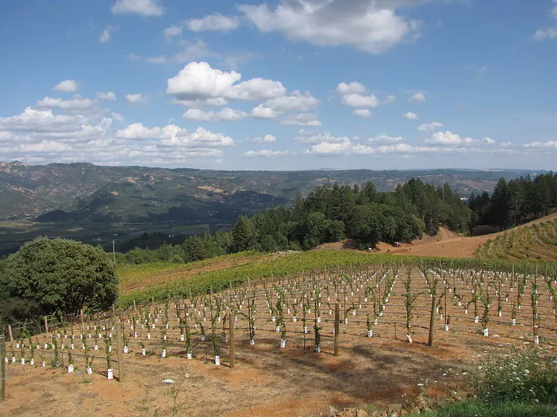 800px-spring mountain - view from smith-madrone vineyards