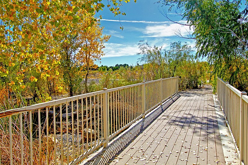 800px-springs preserve trail bridge