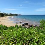 800px Starr 170919 0211 Scaevola taccada view beach ocean Puu Olai Wailea Point Coastal Walk Maui Flickr Starr Environmental