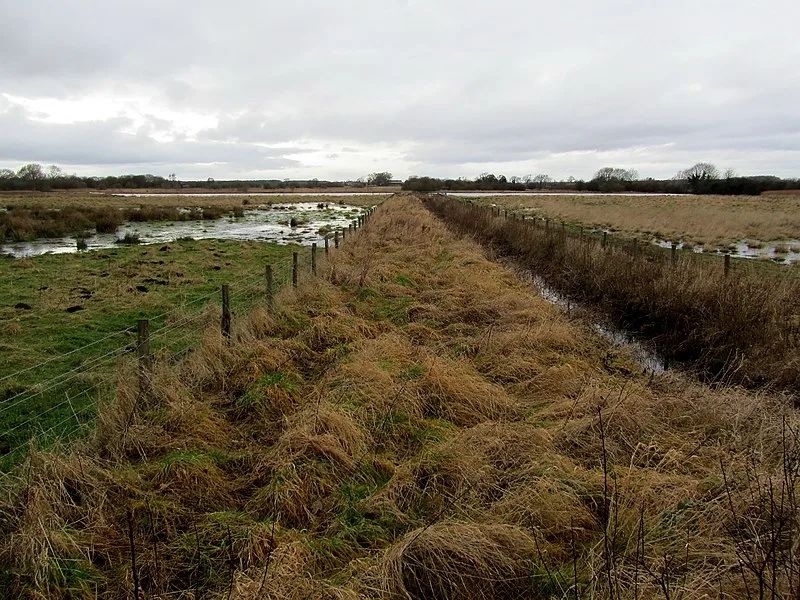 800px-staveley nature reserve - geograph.org.uk - 3280966